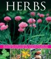 Herbs: An Illustrated Guide to Varieties, Cultivation and Care