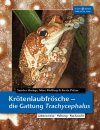 Krötenlaubfrösche: Die Gattung Trachycephalus