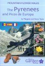Mountain Flower Walks: The Pyrenees and the Picos de Europa