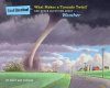 What Makes a Tornado Twist?