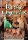Ivory Orphans (All Regions)