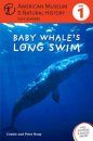 Baby Whale's Long Swim