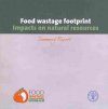 Food Wastage Footprint
