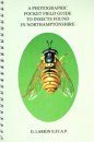 A Photographic Pocket Field Guide to Insects Found in Northamptonshire (Supplement 2)
