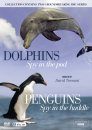 Penguins and Dolphins: The Spy Collection (Region 2)