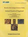 Animal Fossils of Nagaland