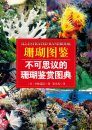 Illustrated Handbook of Coral [Chinese]