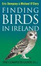Finding Birds in Ireland
