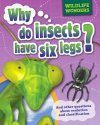 Why Do Insects Have Six Legs?