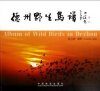 Album of Wild Birds in Dezhou [Chinese]