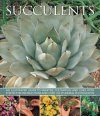 Succulents: An Illustrated Guide to Varieties, Cultivation and Care
