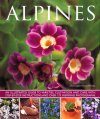 Alpines: An Illustrated Guide to Varieties, Cultivation and Care with Step-by-Step Instructions and over 175 Inspiring Photographs