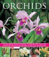 Orchids: An Illustrated Guide to Varieties, Cultivation and Care