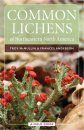 Common Lichens of Northeastern North America