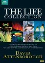 Attenborough: The Life Collection (Region 2 & 4)