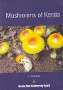 Mushrooms of Kerala