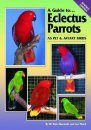 A Guide to Eclectus Parrots