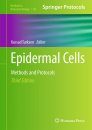 Epidermal Cells