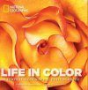 Life in Color [Mini Edition]