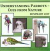 Understanding Parrots