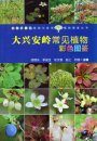 Colour Atlas of Common Plants from Daxing'Anling Mountain [Chinese]