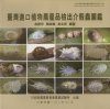 Guidebook to Scale Insects of Imported Agricultural Plants in Taiwan [Chinese]