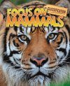 Classification: Focus on: Mammals