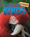 Classification: Focus on: Birds