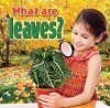 What are Leaves?