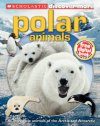 Discover More: Polar Animals
