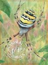Animal Diaries: Spider