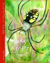 Animal Diaries: Spider