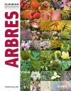 Arbres (Collection Ulmerium)