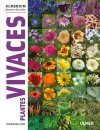 Plantes Vivaces (Collection Ulmerium)