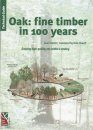Oak: Fine Timber in 100 Years
