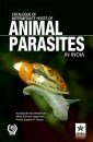 Catalogue of Intermediate Hosts of Animal Parasites in India