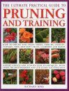 The Ultimate Practical Guide to Pruning and Training