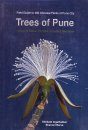 Trees of Pune