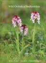 Wild Orchids of Bedfordshire