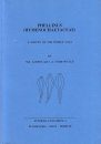 Synopsis Fungorum, Volume 3: Phellinus (Hymenochaetacaea)