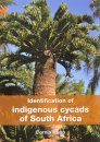 Identification of Indigenous Cycads of South Africa