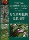 Colored Atlas of Wild Medicinal Plants [Chinese]