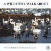 A Wildfowl Walkabout - at Slimbridge