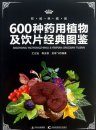 Classic Illustrations of 600 Kinds of Medicinal Plants and Herbal Pieces [Chinese]