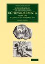A Monograph on the British Fossil Echinodermata from the Cretaceous Formations: The Echinoidea