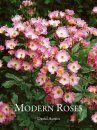 Modern, Bush and Shrub Roses