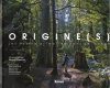 Origine(s): Les Forêts Primaires Dans le Monde