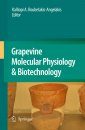 Grapevine Molecular Physiology and Biotechnology
