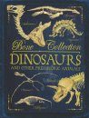 Bone Collections: Dinosaurs