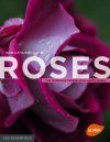 Roses: Les Meilleures Variétés pour un Petit Jardin